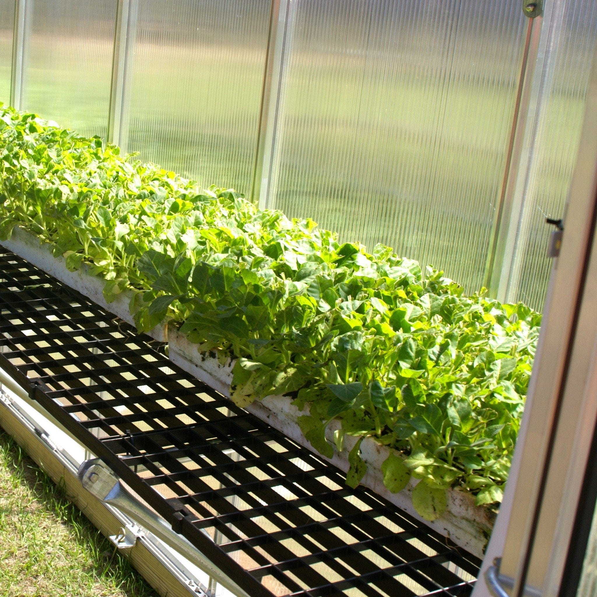 Riverstone Workbench System For MONT Greenhouses