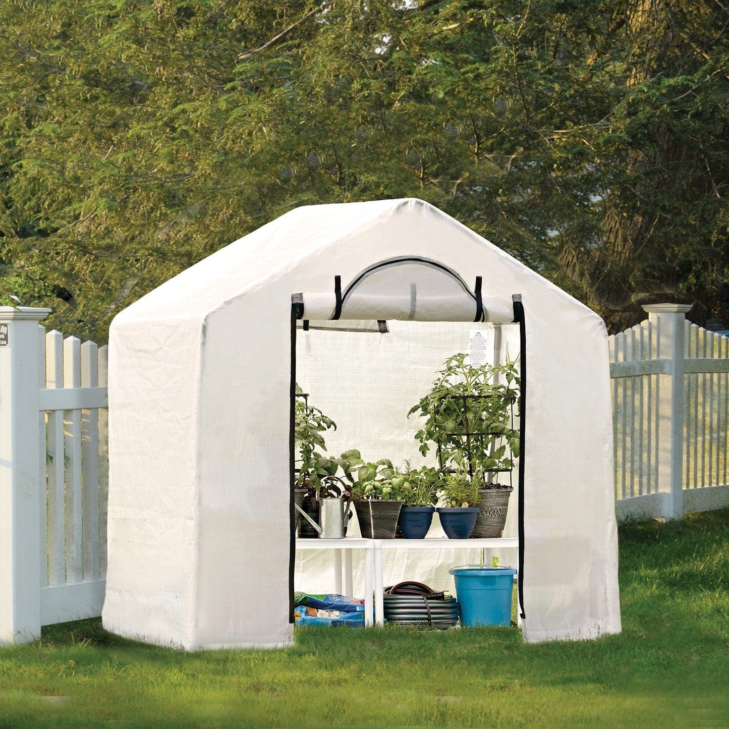 ShelterLogic GrowIT Backyard Greenhouse Translucent - 6' x 4' x 6' - mygreenhousestore.com