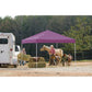ShelterLogic Pop-Up Canopies ShelterLogic | Pop-Up Canopy HD - Straight Leg 12 x 12 ft. Purple 22707