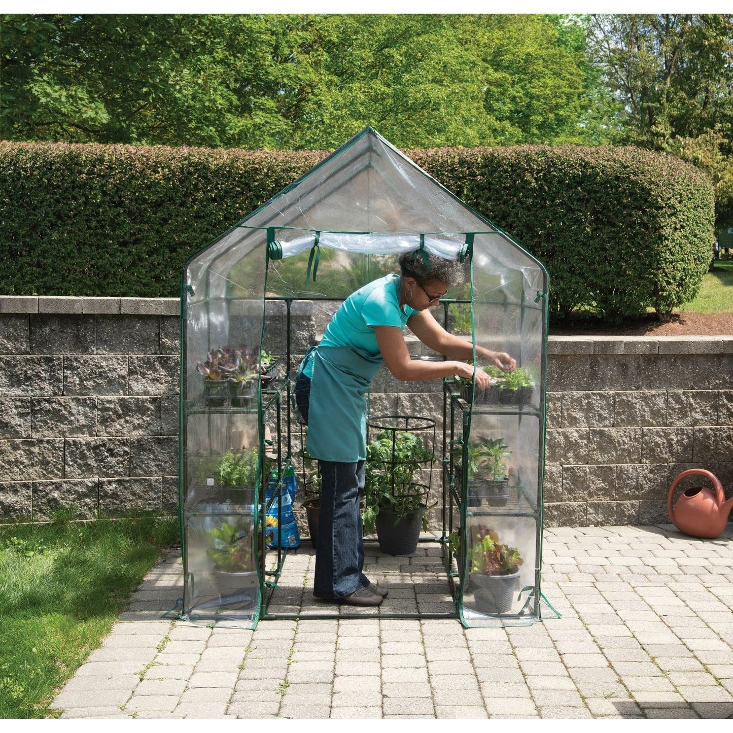 ShelterLogic Portable Greenhouse ShelterLogic | Grow IT Small Greenhouse 4' 8" x 4' 8" x 6' 5" 70520