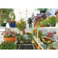 Solexx Gardener's Oasis Standard Greenhouse - mygreenhousestore.com