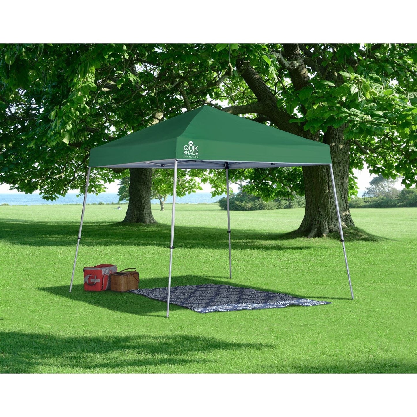 The Fulfiller Pop Up Canopies Quik Shade | Weekender Elite Weekender Elite WE64 10' x 10' Slant Leg Canopy - Green 157374DS